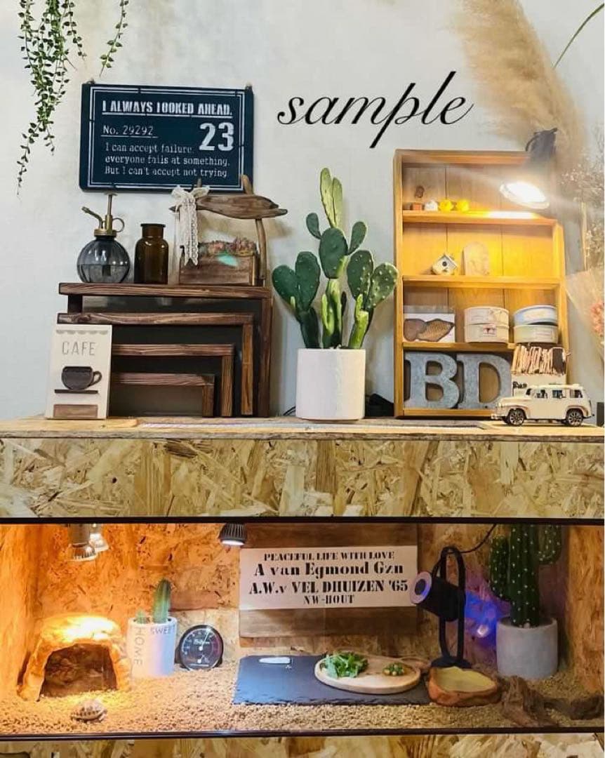 爬虫類ケージ　木製ケージ　リクガメ　フトアゴ　ハリネズミ フルオプ送料込