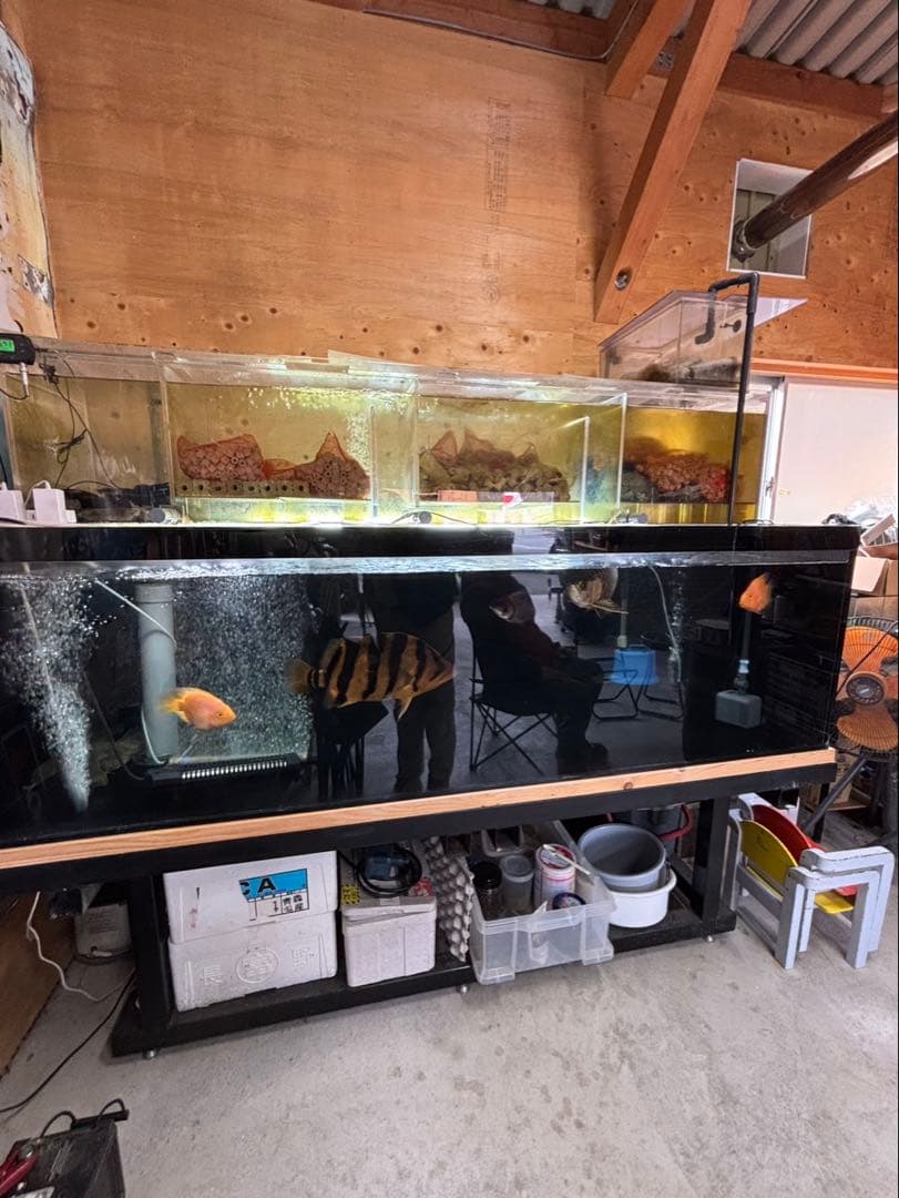 大型水槽セット