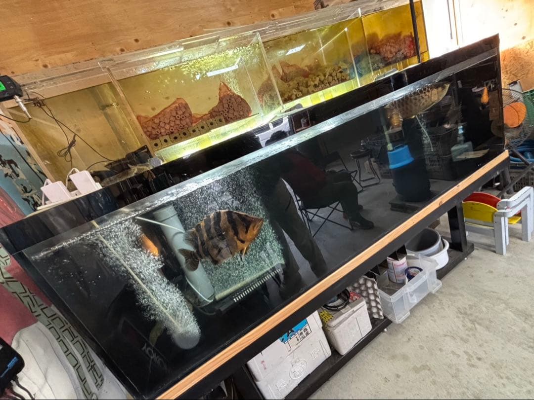 大型水槽セット