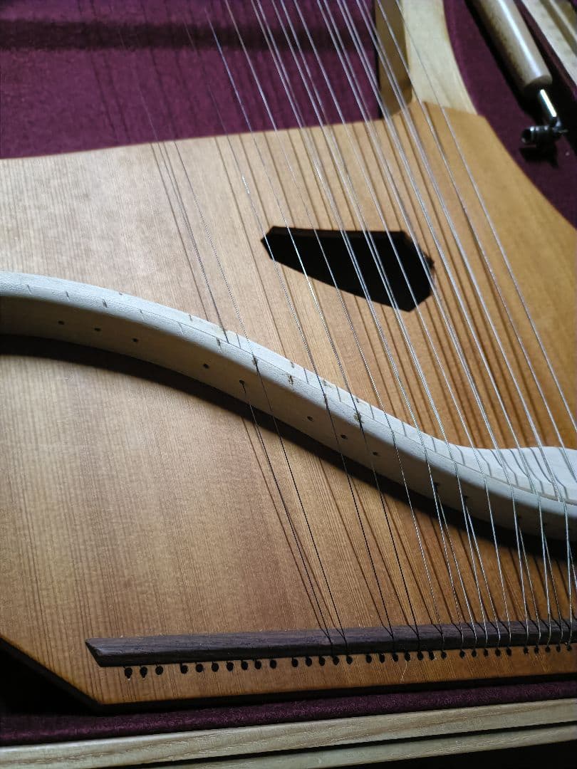 ライアー　ライヤー　35弦　コロイ　choroi　弦楽器　ハープ　竪琴　楽器