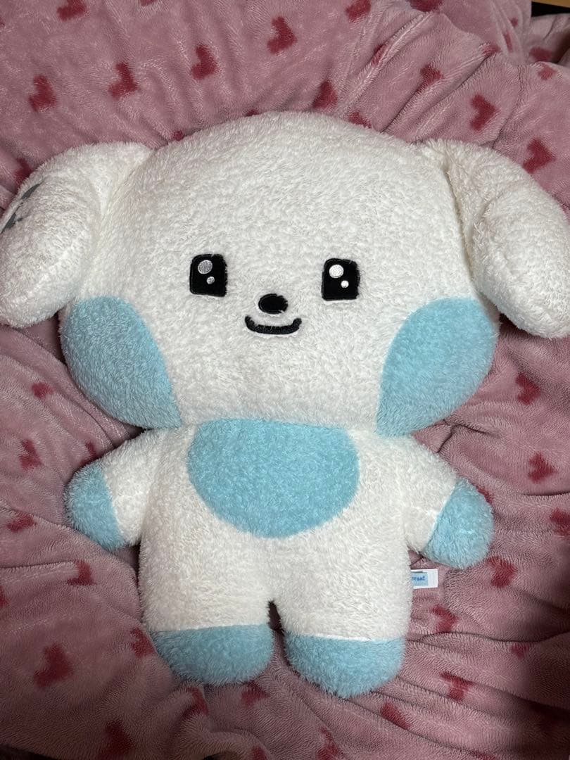 ZB1 LINEFRIENDS ゼロニ フラットぬいぐるみ ギュニニ ギュビン