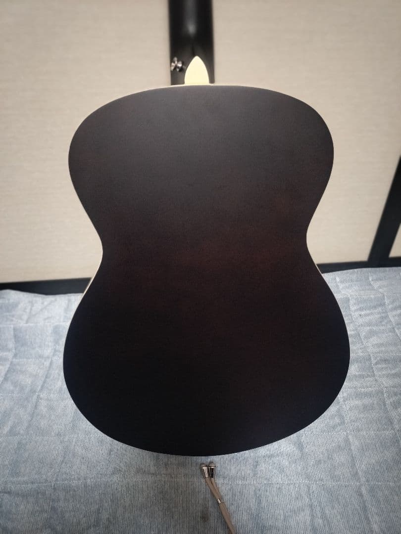 Soldin SFG-15 NAS アコースティックギター