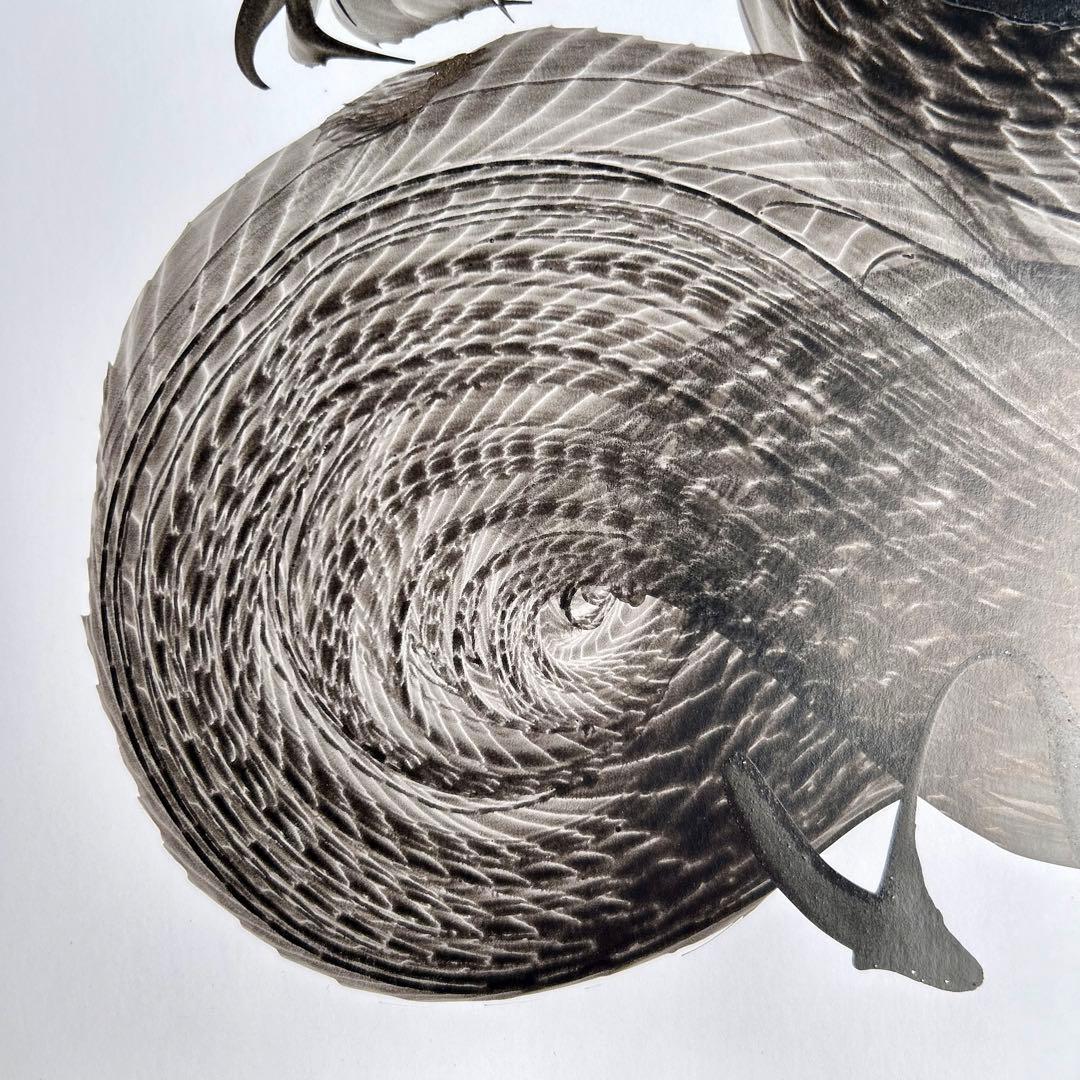 日光　一筆龍　高瀬