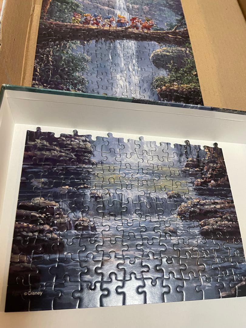 ディズニー　ザ ジャーニーホーム　ロデルゴンザレス　456p パノラマ パズル