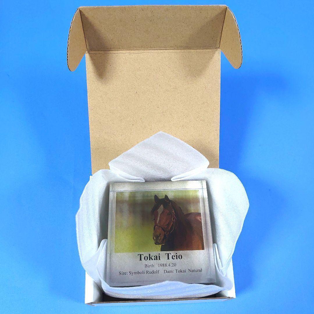 【希少新品】アクリルオブジェトウカイテイオーウマ娘競馬ぬいぐるみ馬アイドルホース