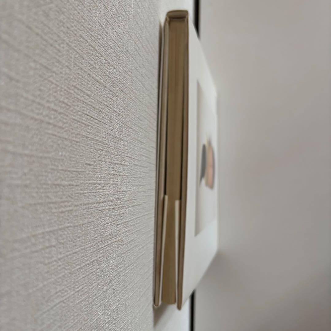 Still Life Irving Penn アーヴィングペン 写真集