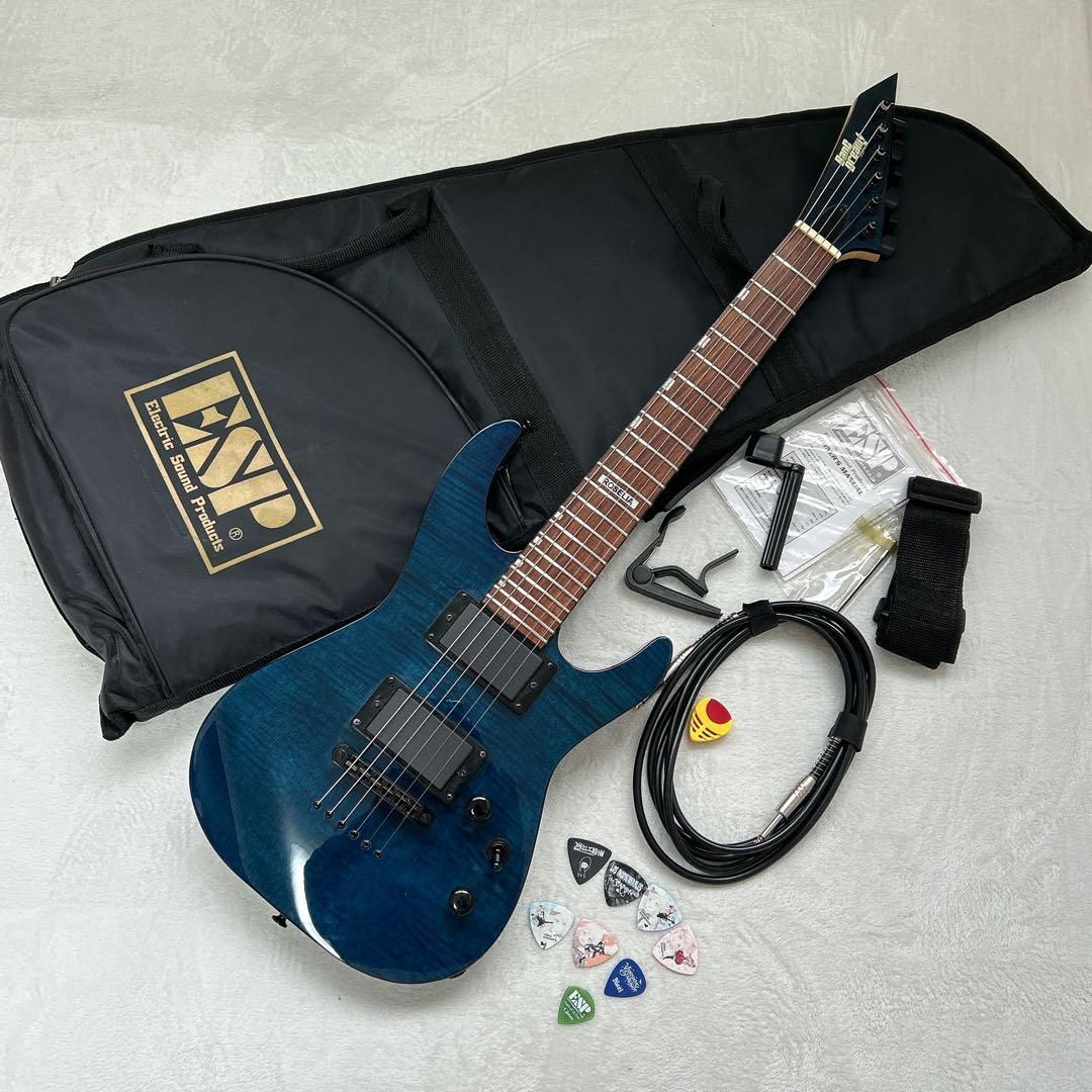 ESP × BanG Dream! M-II 氷川紗夜モデル バンドリ