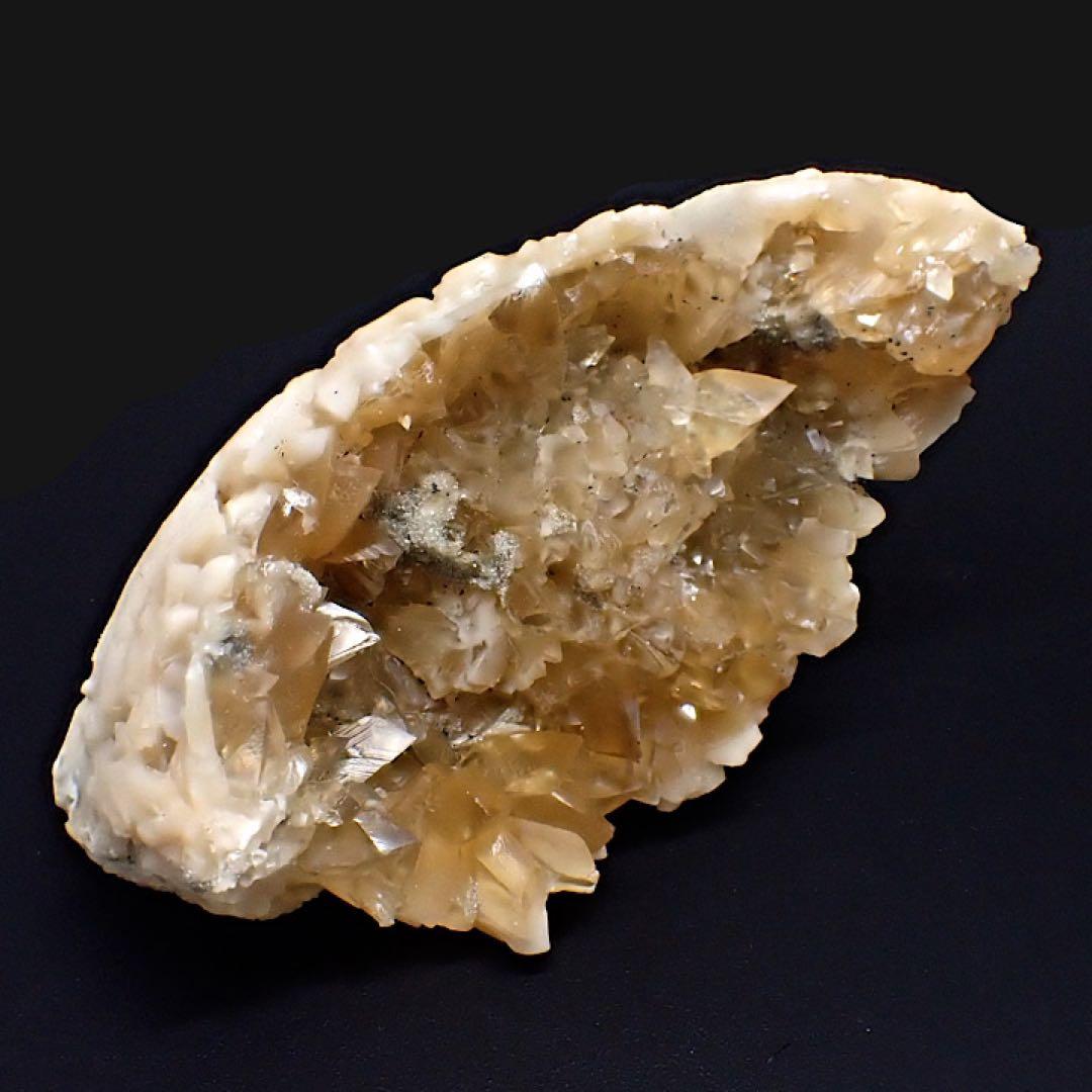 【アメリカ/フロリダ産】カルサイト(方解石)inハマグリ化石