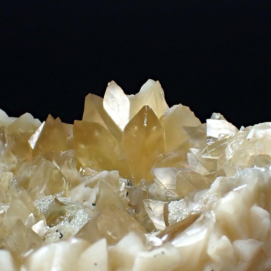 【アメリカ/フロリダ産】カルサイト(方解石)inハマグリ化石