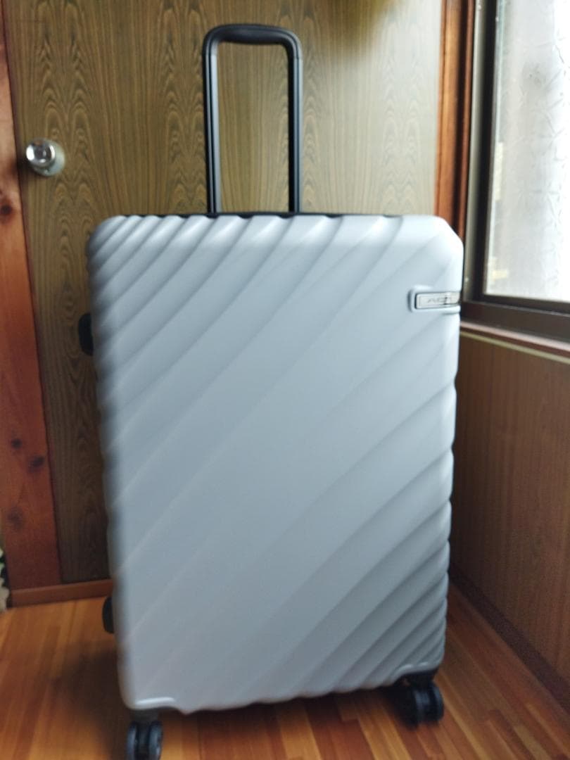 ACE株式会社 Lサイズキャリーケース 『オーバル２・グレー色』未使用品