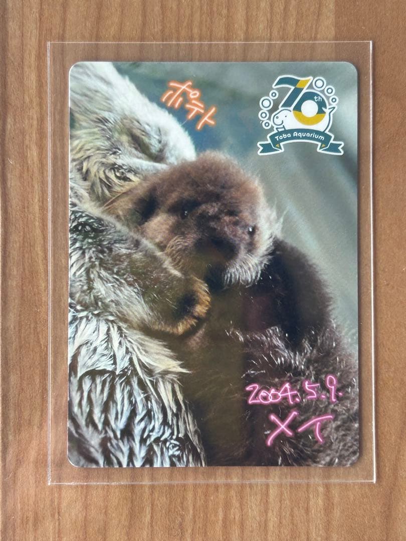【鳥羽水族館】コレクションカード　メイ（レアカード）　ラッコ　赤ちゃん　ホロ