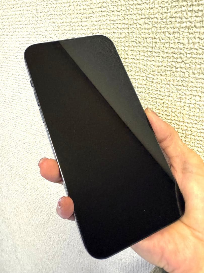 右京/iPhone13promax1TB 美品シエラブルーSIMフリー本体