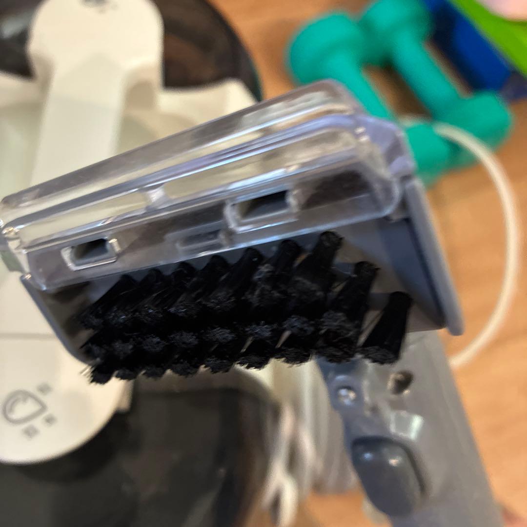 raycop スチームクリーナー 本体