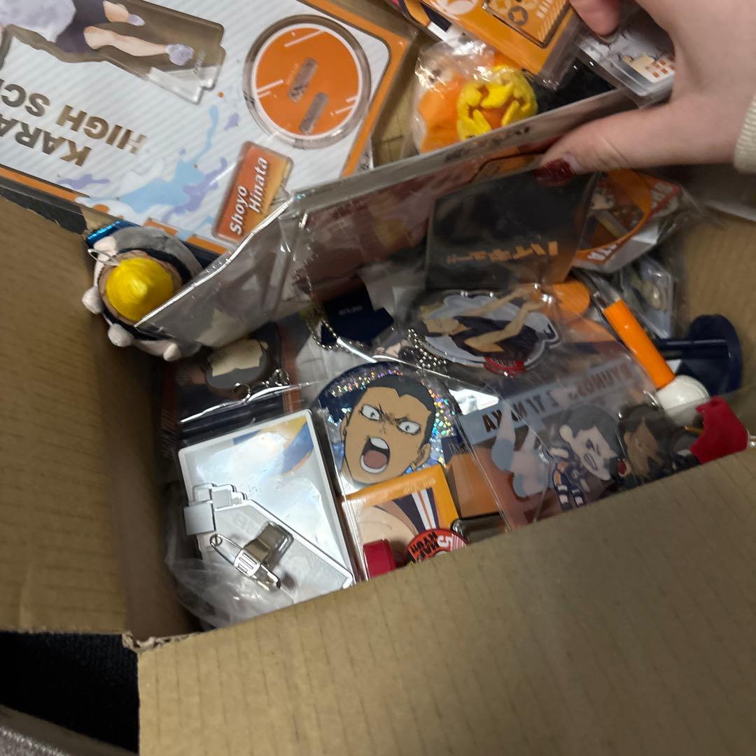 ハイキュー 田中龍之介 日向翔陽 まとめ売り