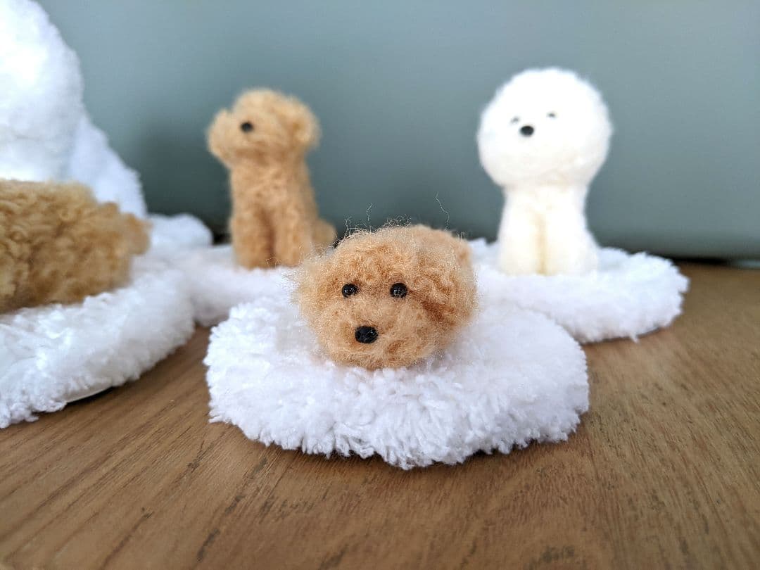 6体　　ひみつきち☆です　手乗りわんこ　トイプードル