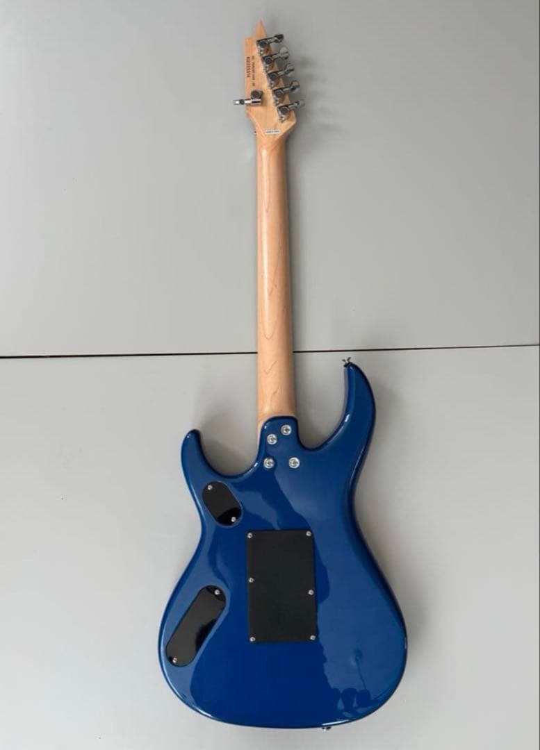 f*o様 エレキギター Killer KG-Fascist Vice SE