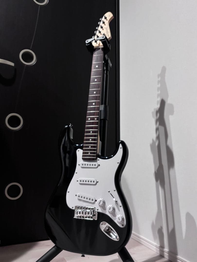 Legend storatocasterタイプ　バラして発送