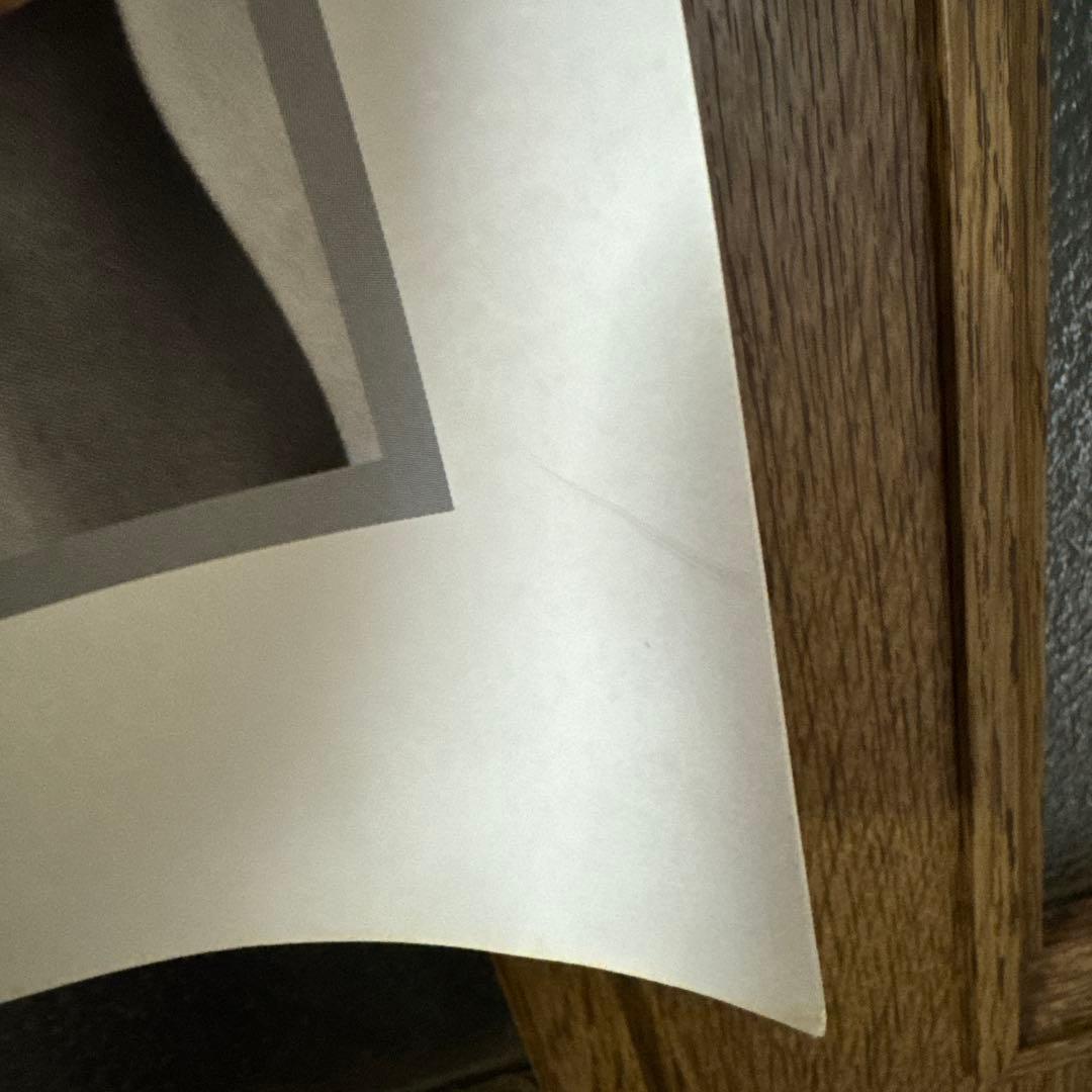 ＸＪＡＰＡＮ１９９６ＤＡＨＬＩＡポスター