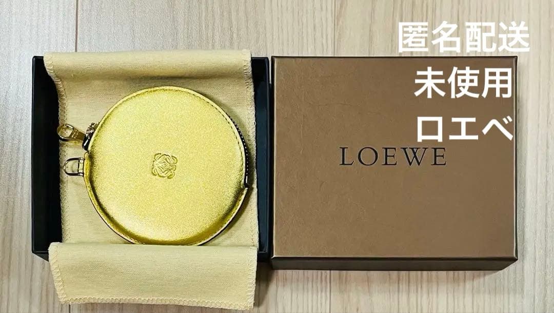 未使用/匿名配送　ロエベ　ケース