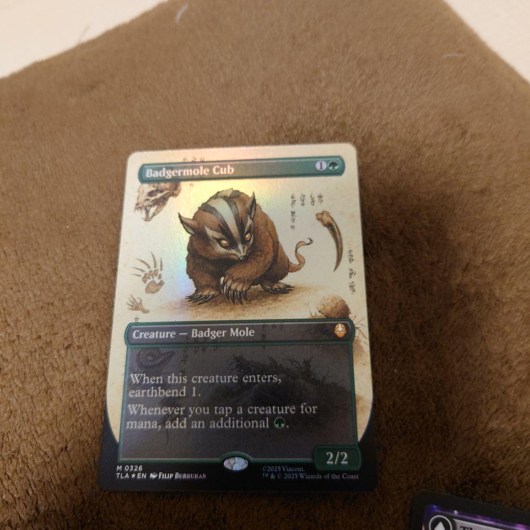 mtg アナグマモグラの仔　foil　拡張絵　英語版