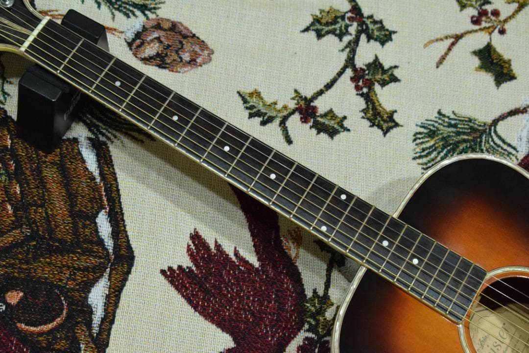 Aria Meister AMS-01BS アコギ