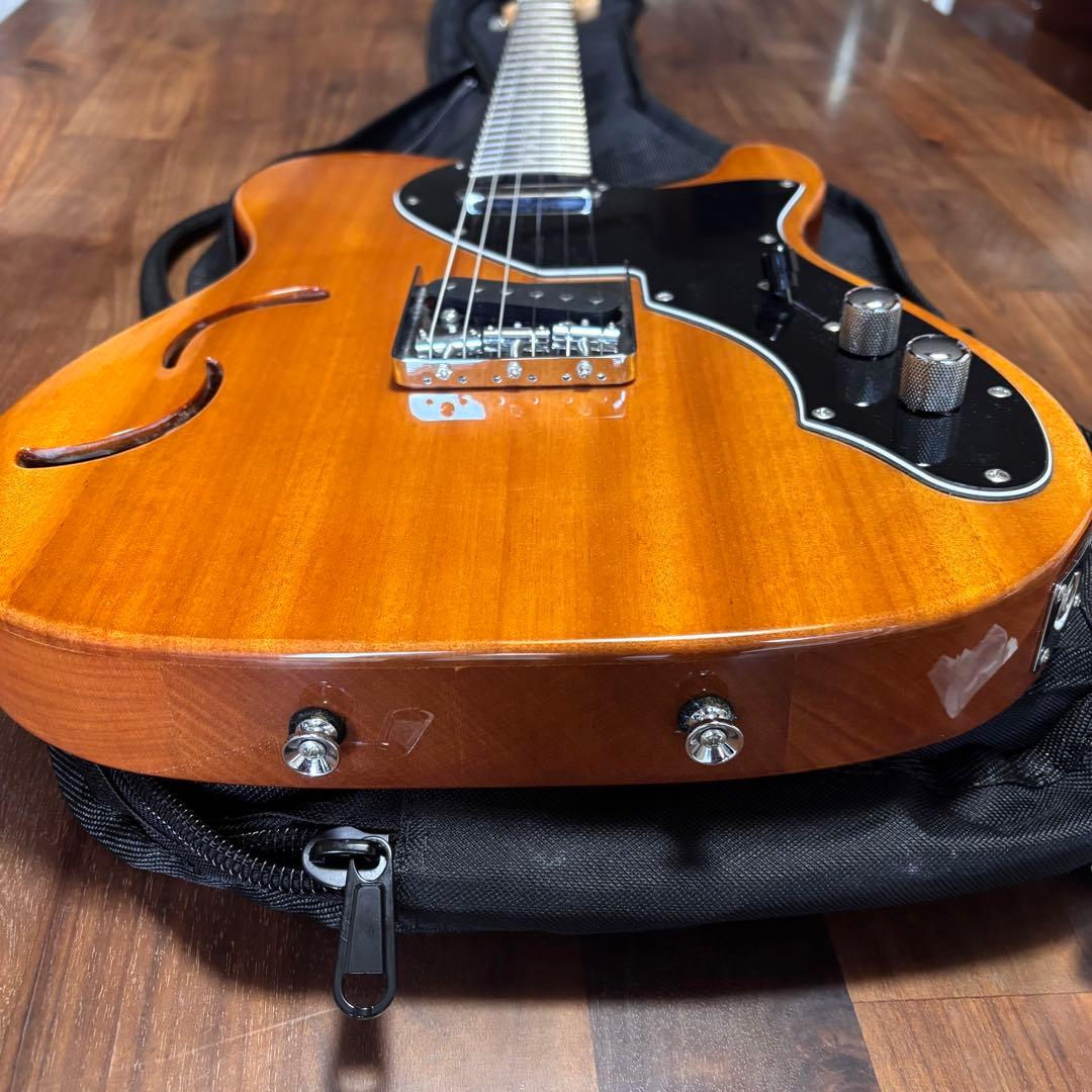 美品 SCHECTER OL-PT-TH 限定生産 シンライン 即購入可