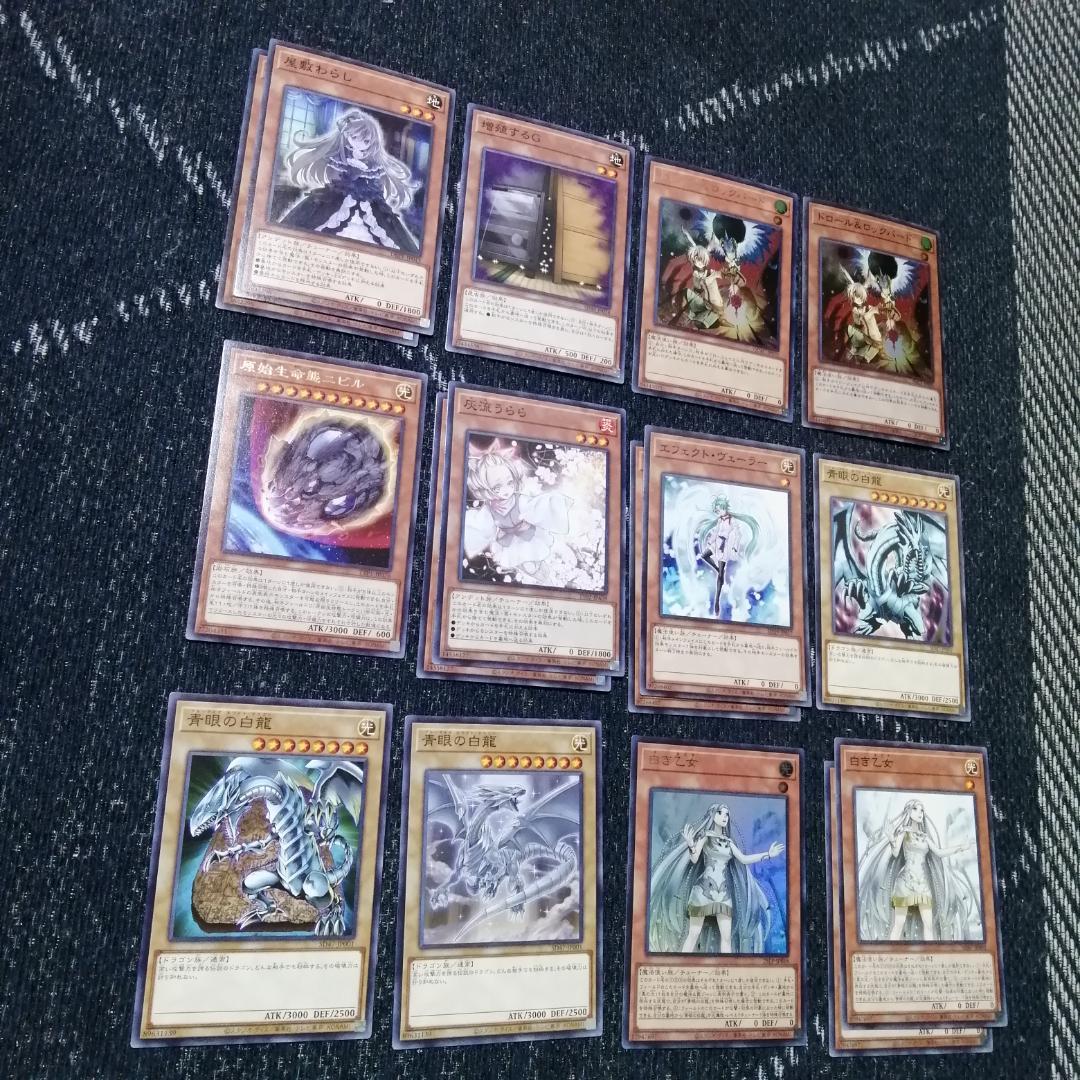 遊戯王　原石　青眼　デッキ　原石の皇脈　赤き竜　聖王の粉砕　[04578]