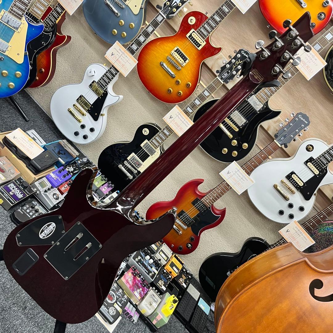 【11054】Schecter DIAMOND SERIES