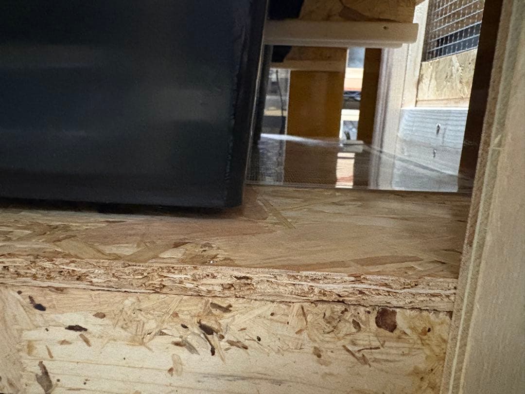 スネークラック　オーダー　受付用　爬虫類　ボールパイソン　ケージ