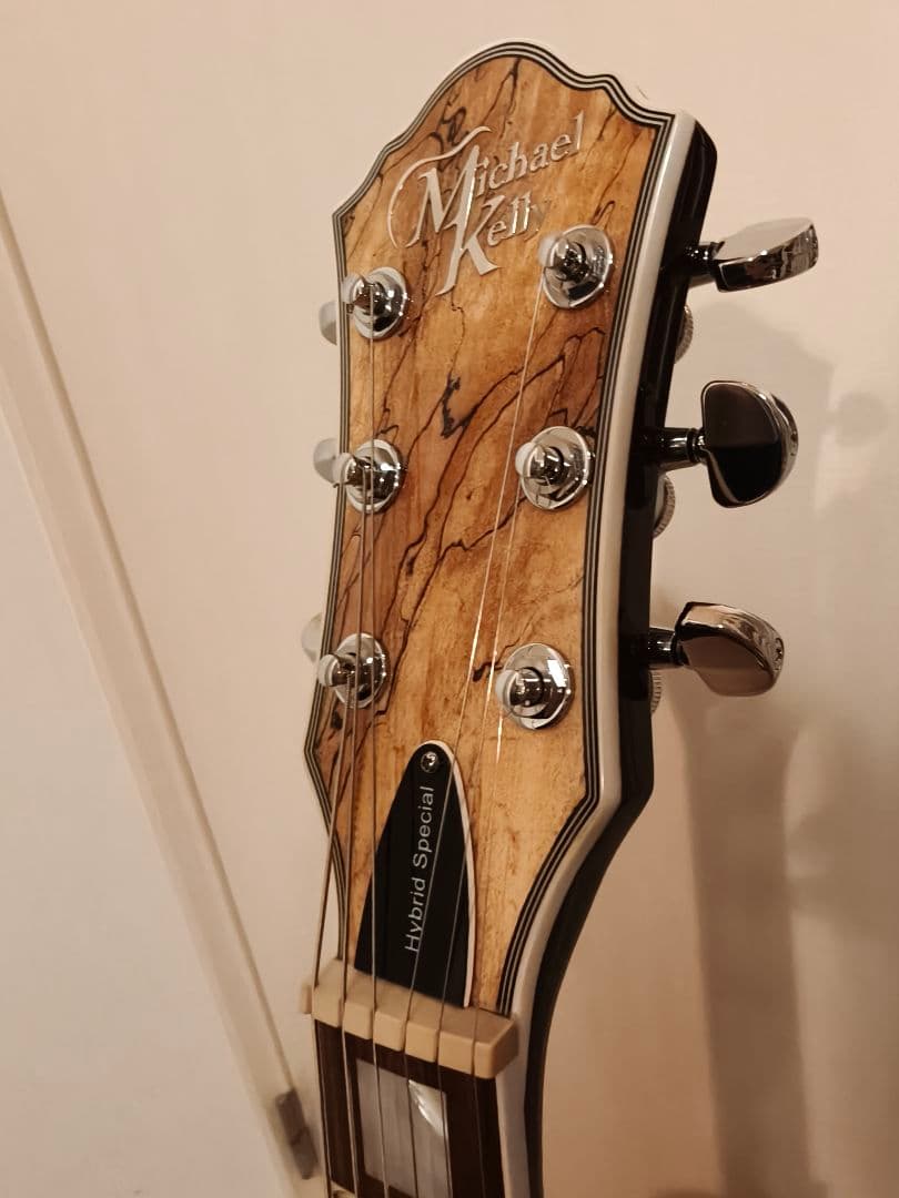 ギター Michael Kelly Guitars Hybrid Special