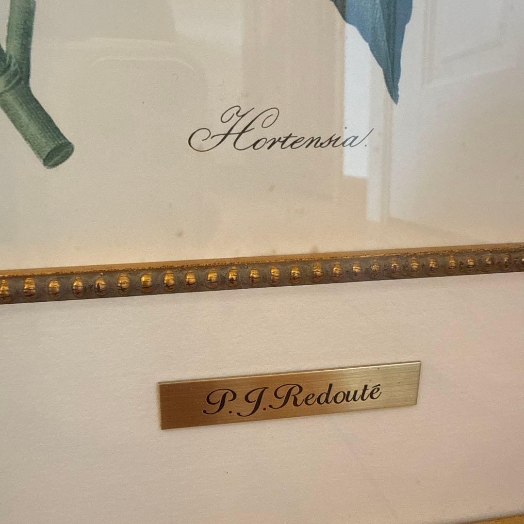 ルドゥーテ　Hortensiaあじさい