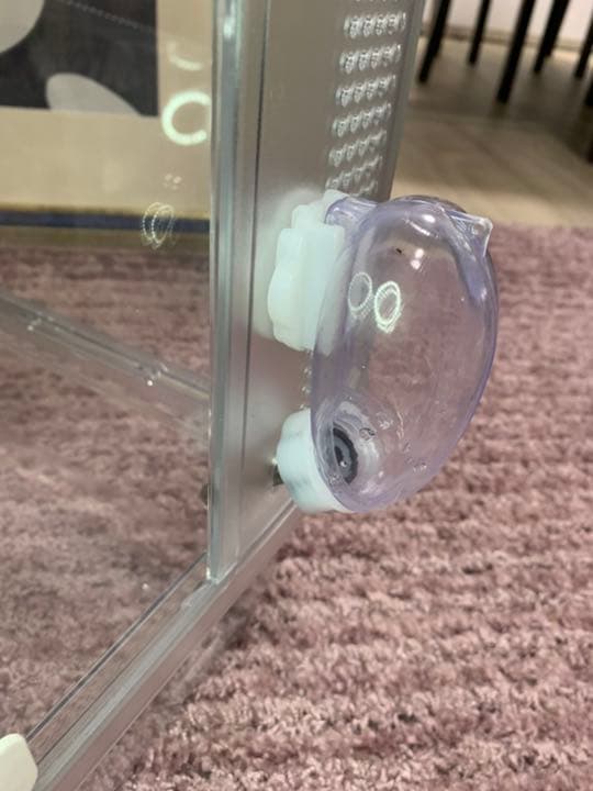 ハリネズミスターターセット