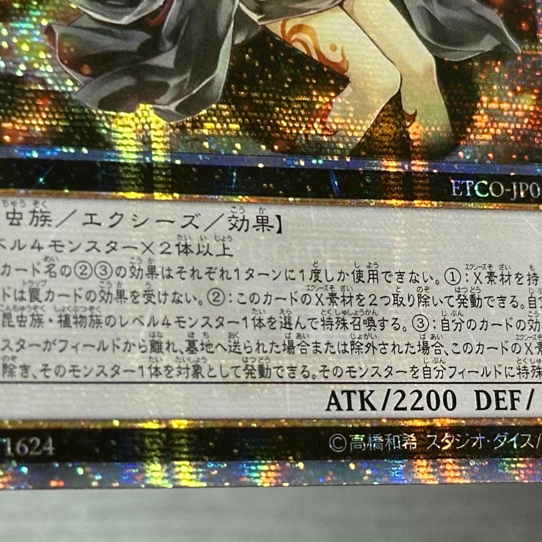 遊戯王 アロメルスの蟲惑魔 20th アジア版 中国表記