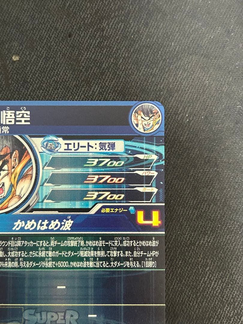 UGM1-sec4 孫悟空 4347