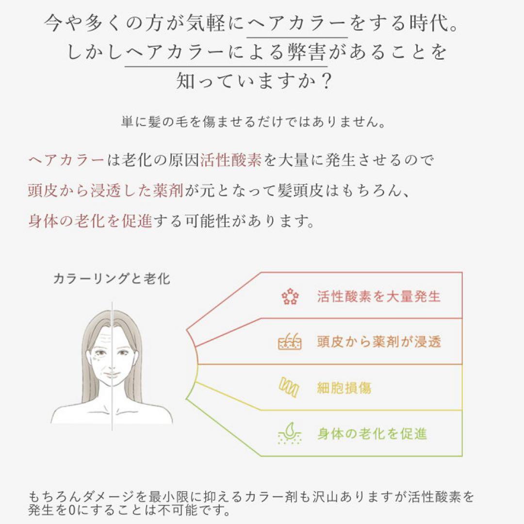 2026年始セール！ストリエクスチェンジプラス H2 シャンプー詰め替え2個！