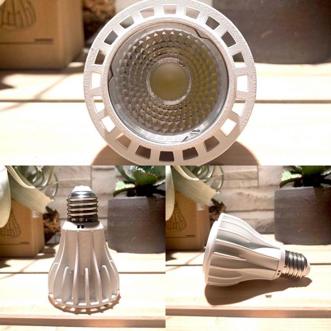 15W植物育成ライトGrowLight PAR20 6000K 5個