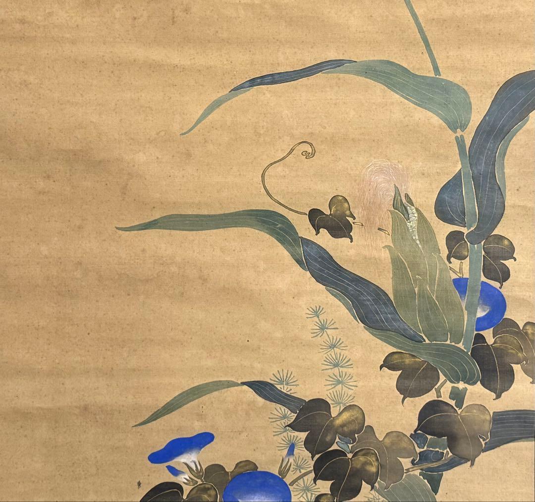 酒井抱一筆　絹本肉筆　朝顔　沒骨法　掛軸　送料込み250824