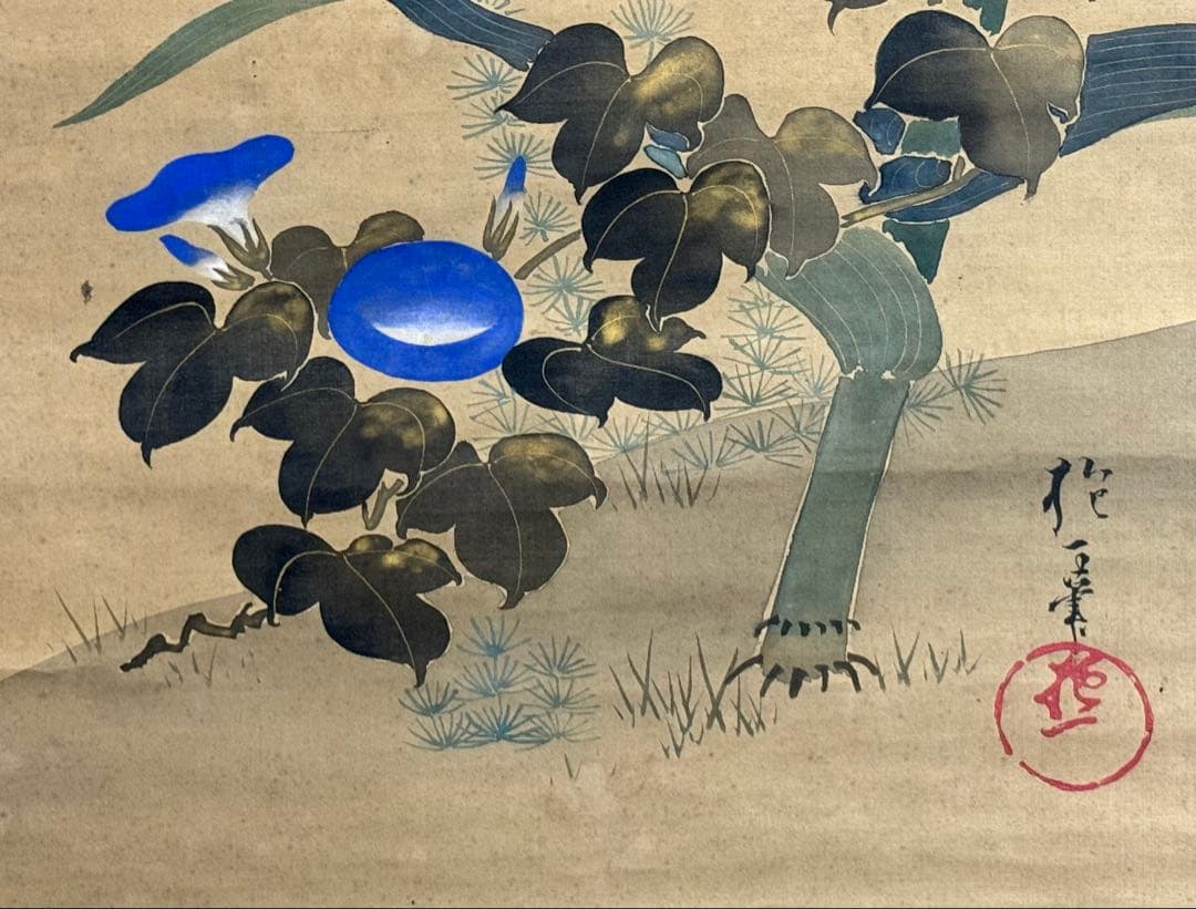 酒井抱一筆　絹本肉筆　朝顔　沒骨法　掛軸　送料込み250824