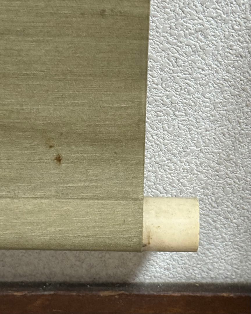 酒井抱一筆　絹本肉筆　朝顔　沒骨法　掛軸　送料込み250824