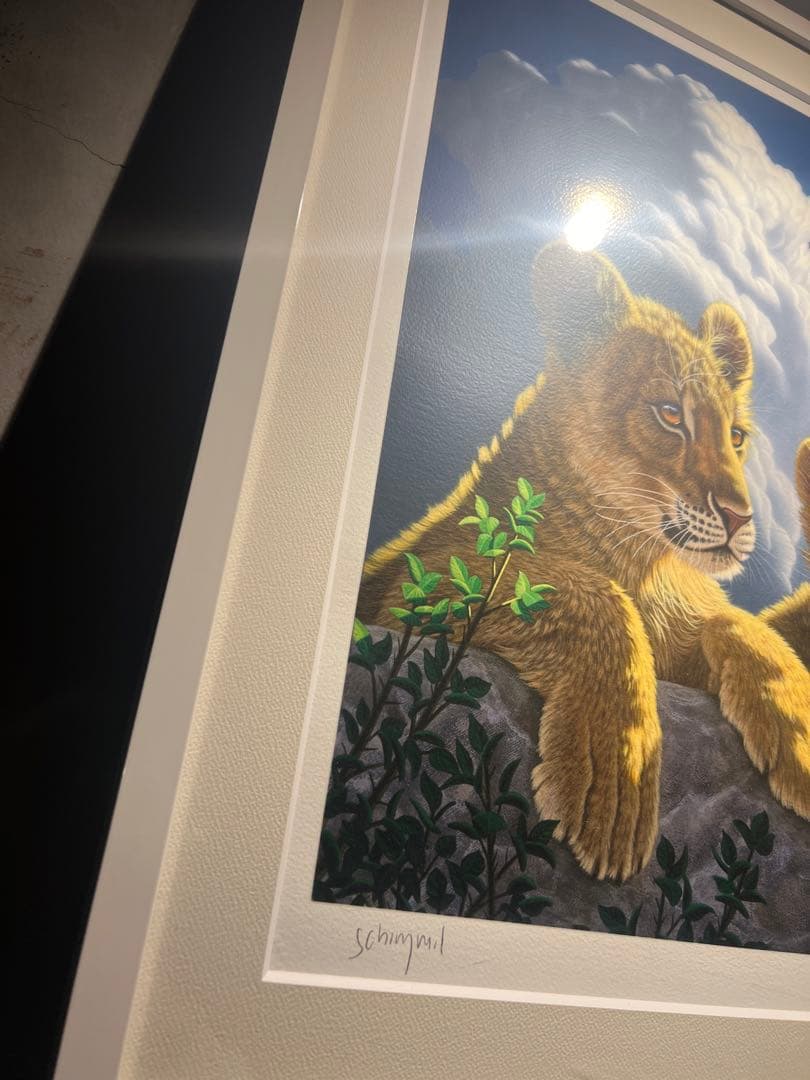 SCHIM SCHIMMEL【ライトオブホーム】395限定