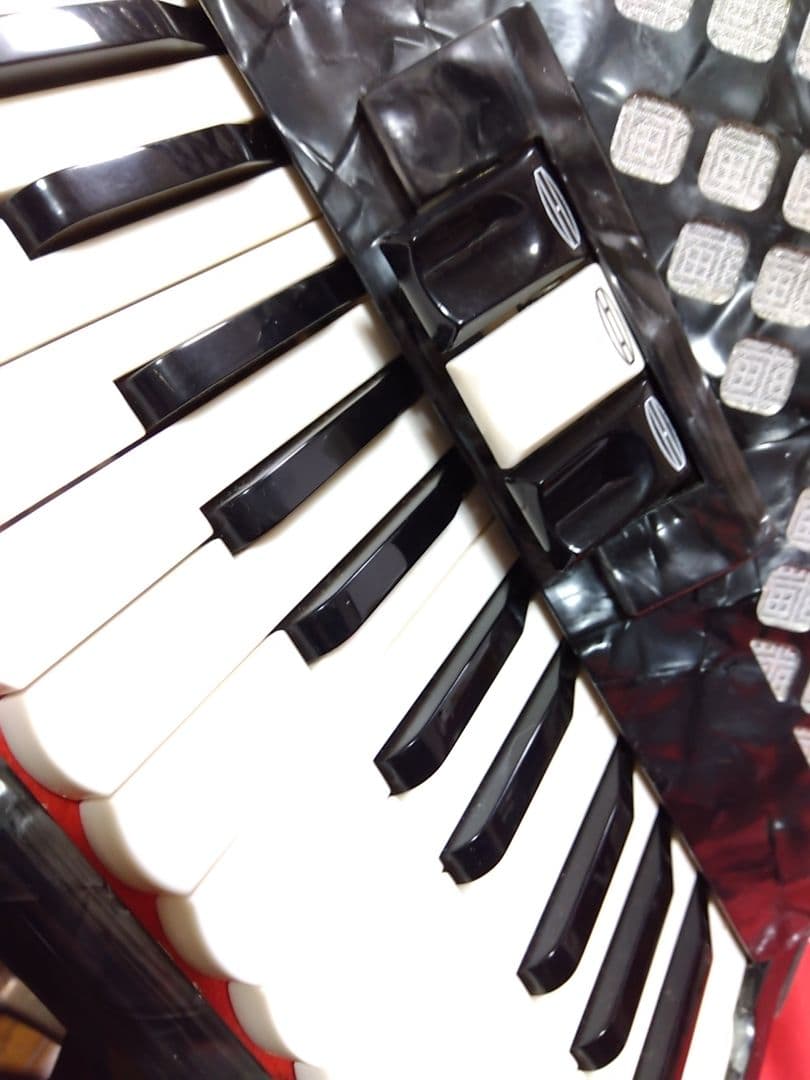 【簡易調律済即演奏可】TOMBO Grandaille GT-32アコーディオン