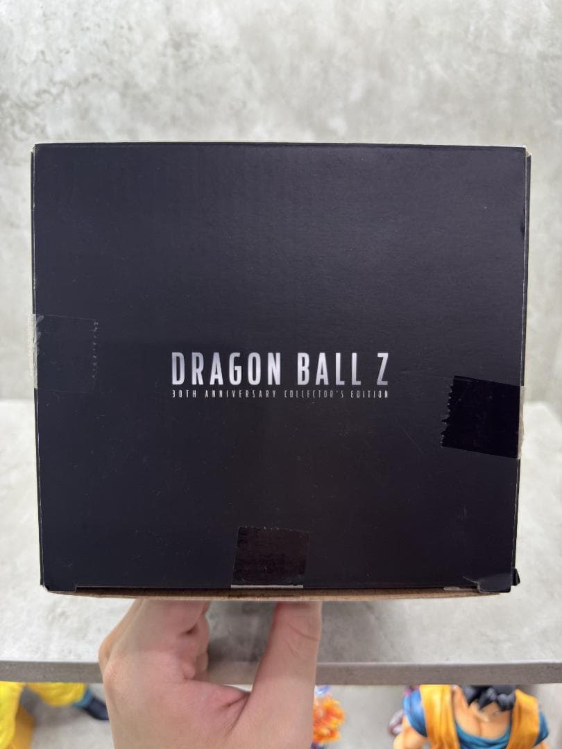 孫悟空 ドラゴンボールZ 30周年記念 グランディスタ