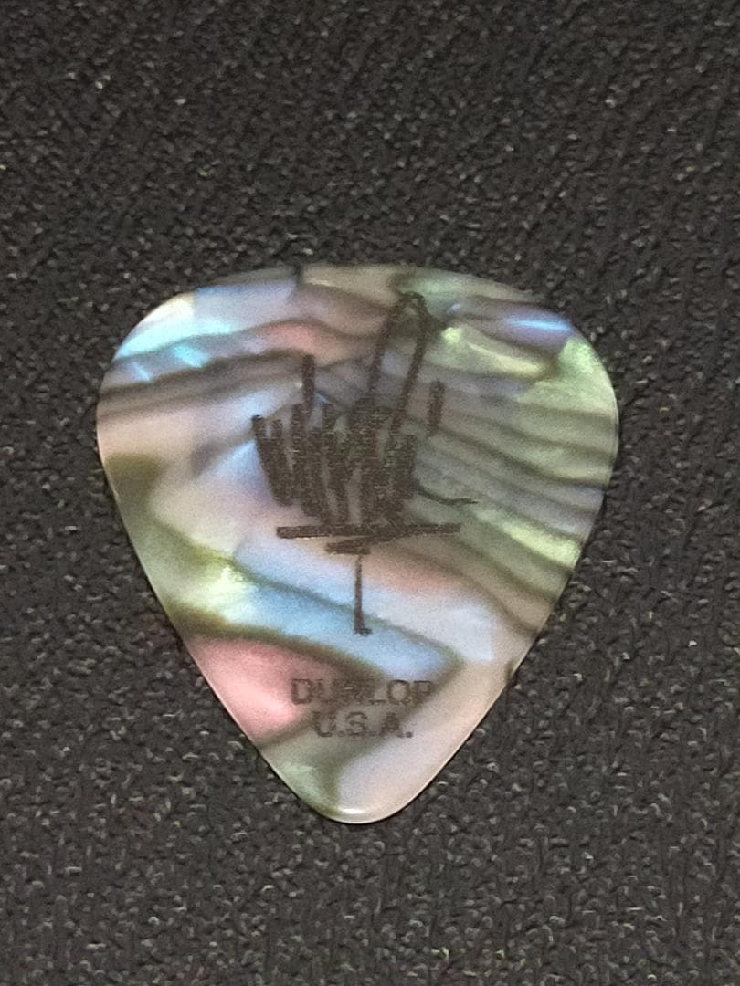 LINKIN PARK リンキンパーク ギターピック レア 虹色 マイク・シノダ