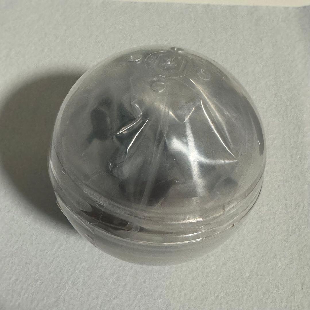 小笠原　ザトウクジラ　テストショット　ネイチャーテクニカラー