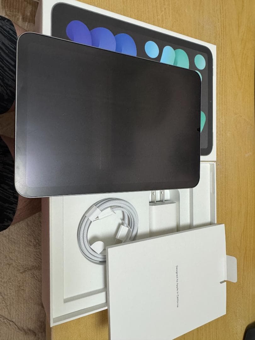 iPad mini A17 Pro Wi-Fi 256GB スペースグレイ