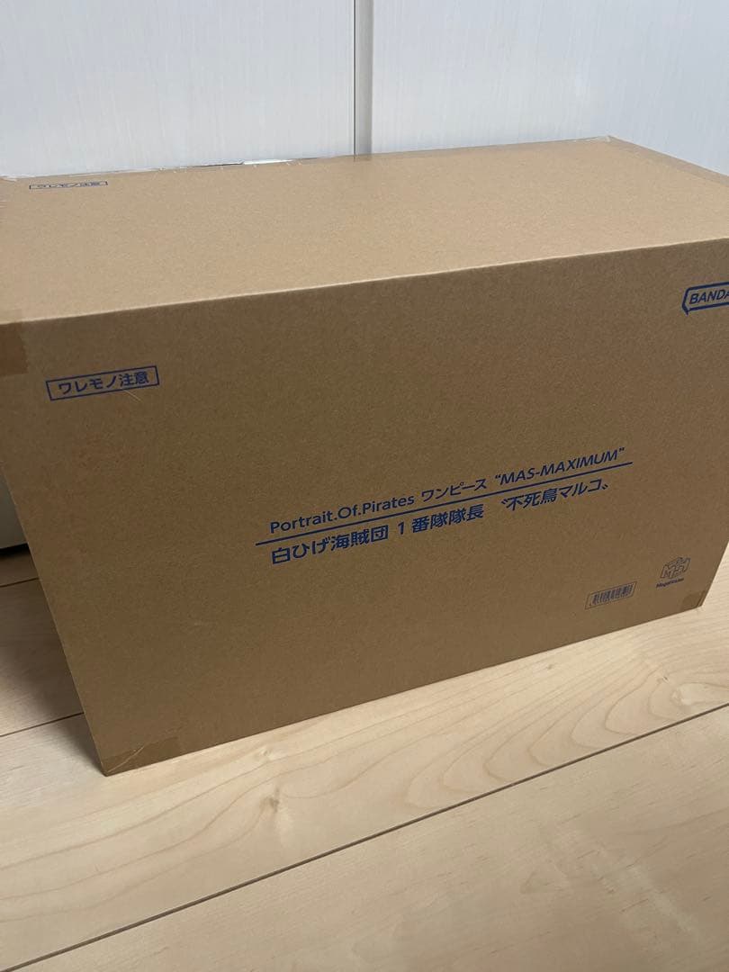 POP maximum マルコ