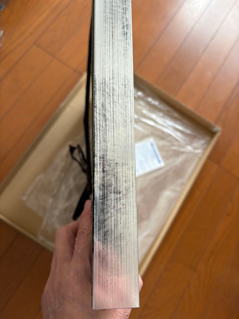 D.グレイマン　複製原画　神田ユウ　アレン　【USED】