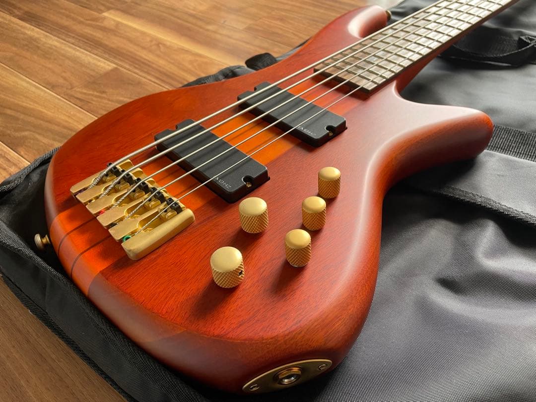 Y*t様 SCHECTER Stiletto STUDIO-5 AD-SL-ST