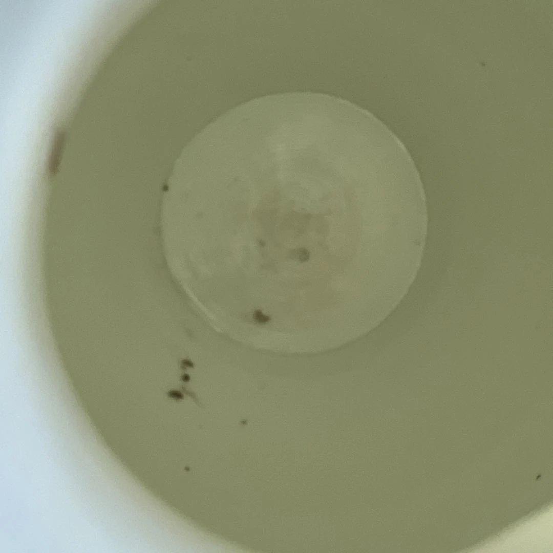 酒井田柿右衛門　濁手本作あけび文花瓶　高さ約25.5㎝ 東Y7-1006☆2F