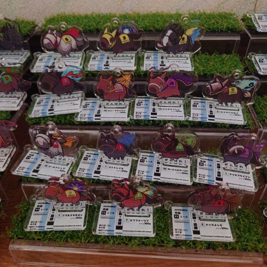 UMA　UMAbred　アクリルキーホルダースタンド　コンプリートセット